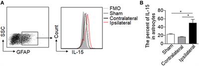 Astrocytic Interleukin-15 Reduces Pathology of Neuromyelitis Optica in Mice